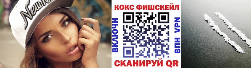 Cocaine FishScale  Купить закладки  Ленинск 