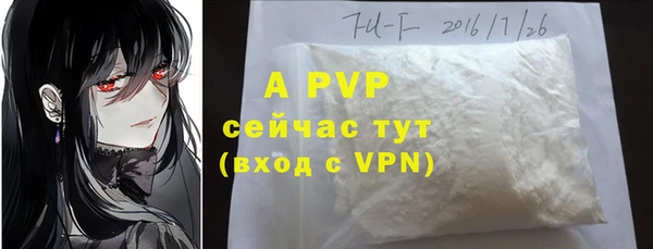 apvp Бородино