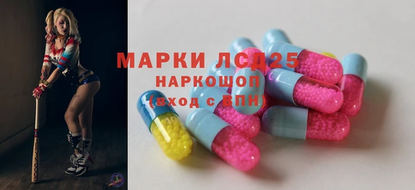 apvp Бородино