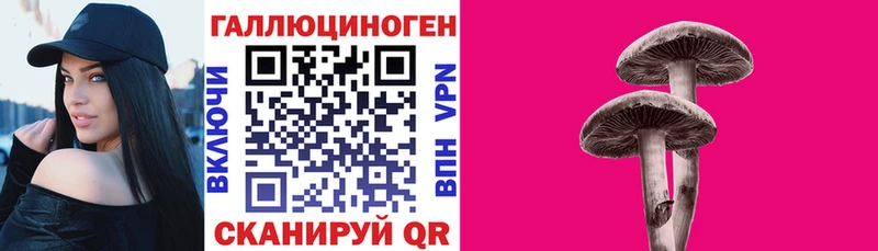 Купить где  Ленинск  Галлюциногенные грибы мухоморы 